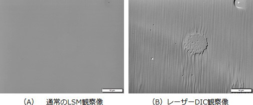 Fig.2　シリコン系の結晶面の欠陥のレーザー観察