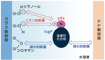 図1.　塩基性化合物の容器への吸着メカニズム