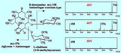 エリスロマイシンの衝突誘起解離(CID)スペクトル