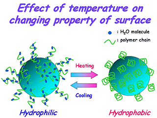 表面性質の変化へおよぼす温度影響