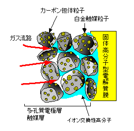 膜電極接合体（ MEA ）の部分的モデル
