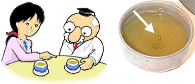 早く研究室に着いたのでゆっくりお茶/博士自作の湯飲みで茶柱が立つ
