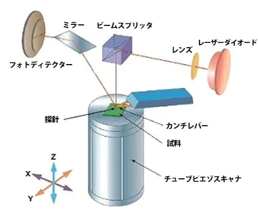 走査型プローブ顕微鏡