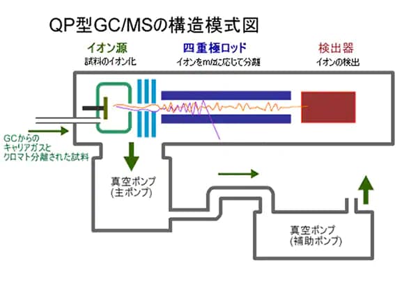 ガスクロマトグラフ質量分析計