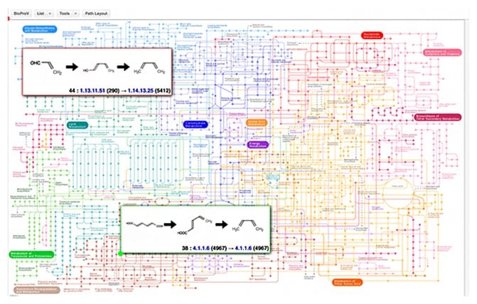 シミュレーションツール「BioProV（バイオプロブイ）」が示す候補経路