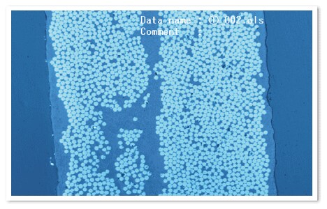 CFRP断面図（光学像）