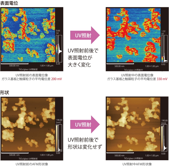 表面電位と形状を観察