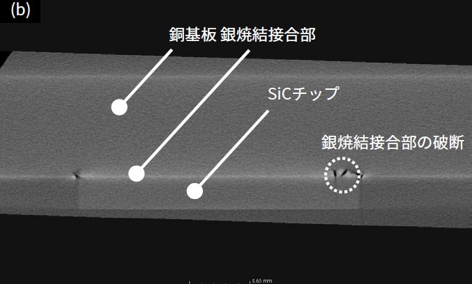 SiCチップ側面からの断面画像 (横)