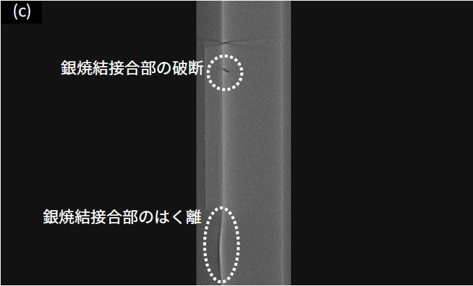 SiCチップ側面からの断面画像 (縦)