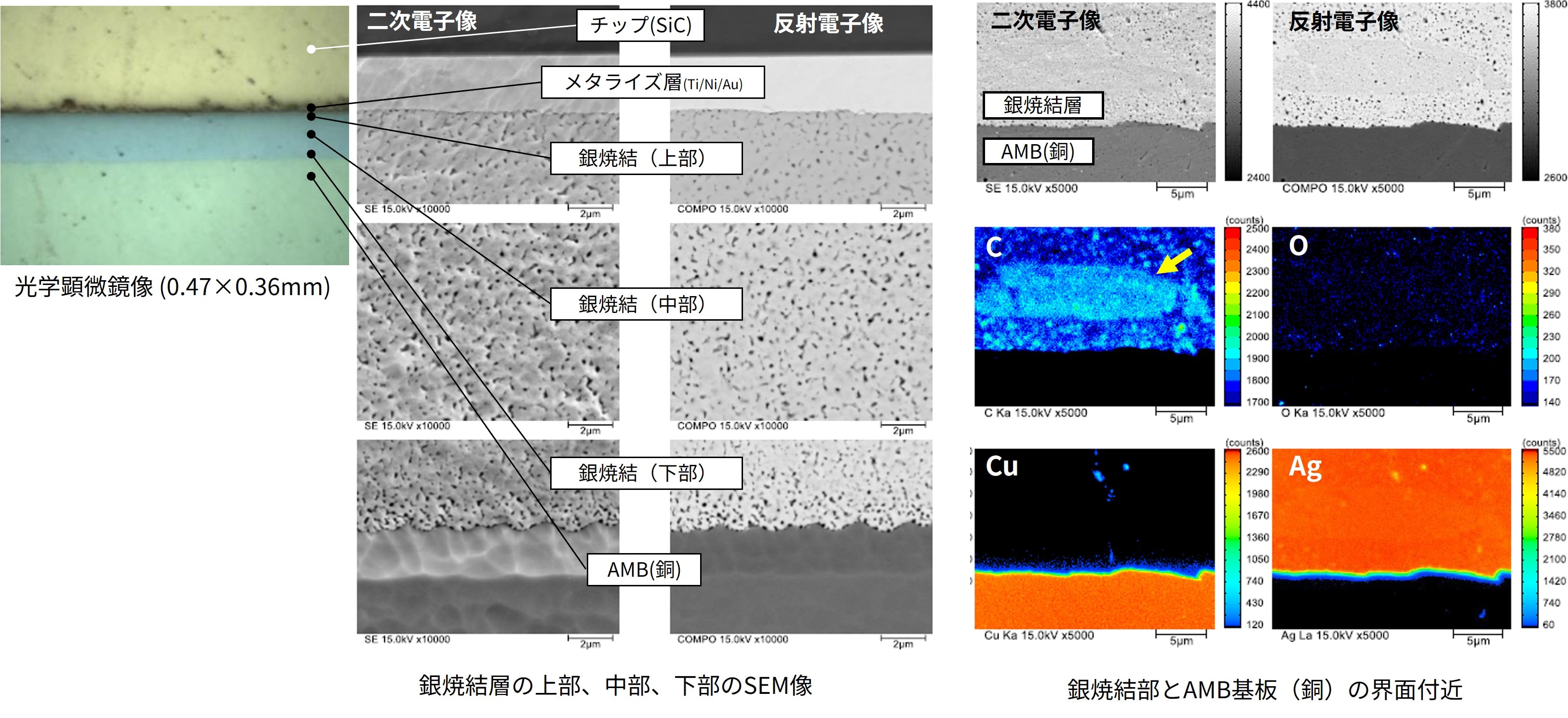 チップ接合状態断面の観察と元素マッピング像