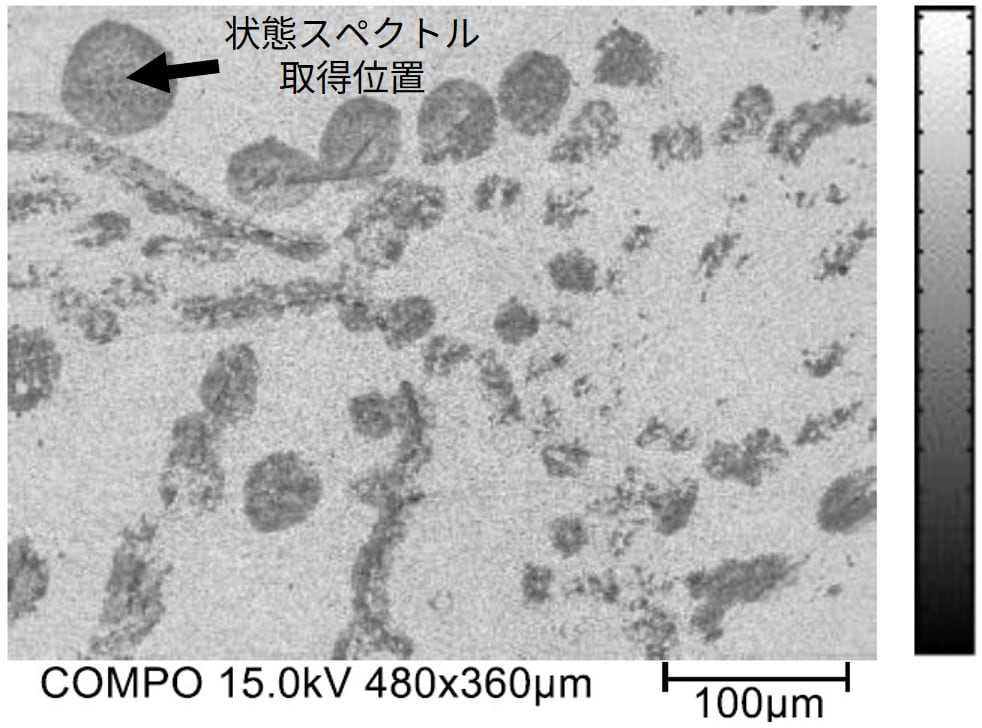 剥離面の反射電子像