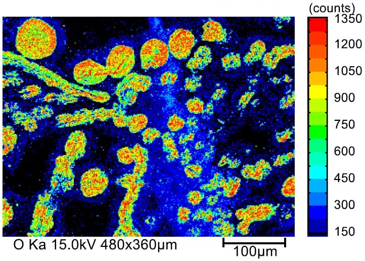 剥離面の元素分布（O）