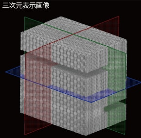 層間せん断試験片の内部構造データ