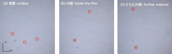 図2　多層フィルム中の異物カラー観察像