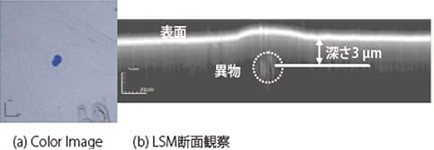 図3　フィルム表面近傍の内部異物の観察像