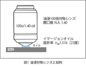 図1 油浸対物レンズと試料