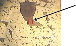 インクの顕微鏡写真