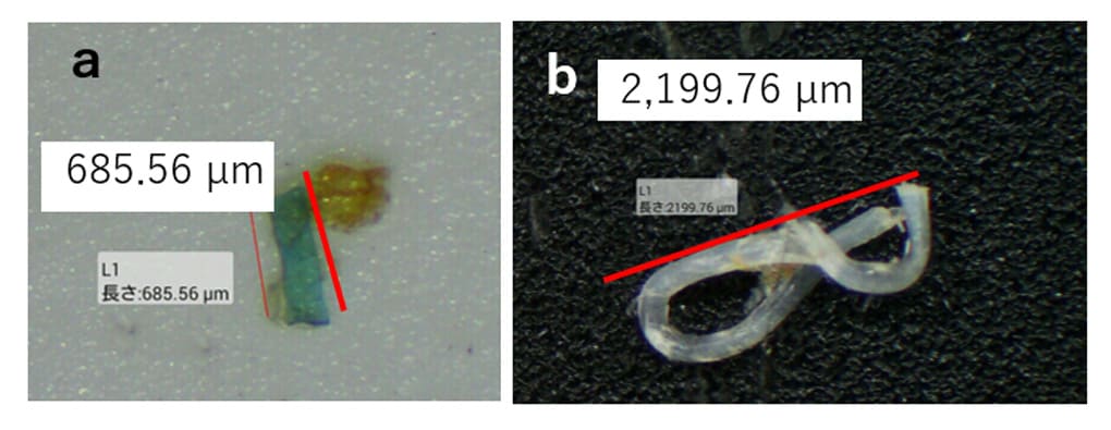 マイクロプラスチック(a),(b)の外観
