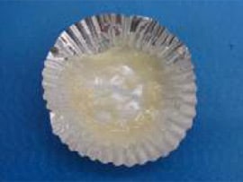 Fig.1 塩麹を恒温槽へ入れる前の状態 Salt Malted Rice to set up to oven