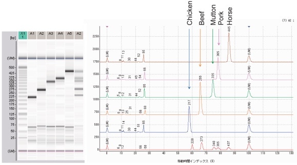 食肉 5 種の Ampdirect ® 増幅産物分析結果（MultiNA ゲルイメージおよびエレクトロフェログラム）