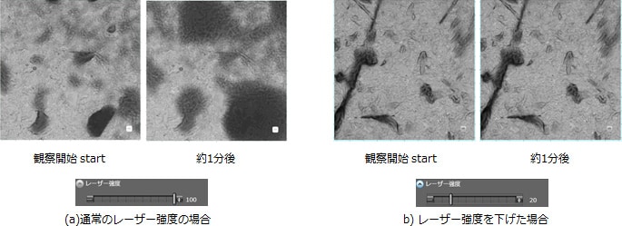 OLS4100 入射レーザー強度とチョコレートの表面変化 視野□50μm