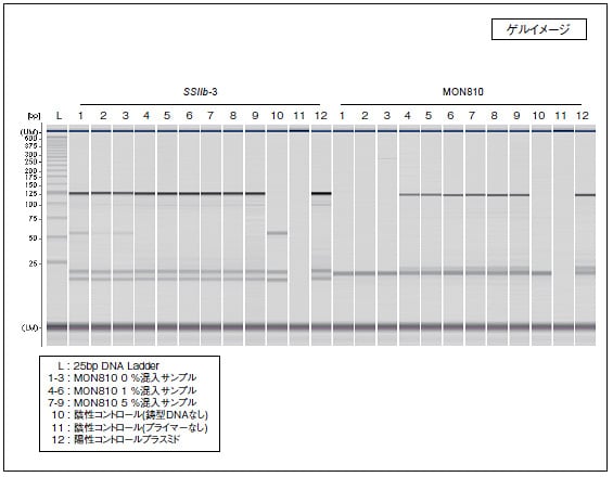 図1 MultiNA による遺伝子組換えとうもろこし(MON810) の分析