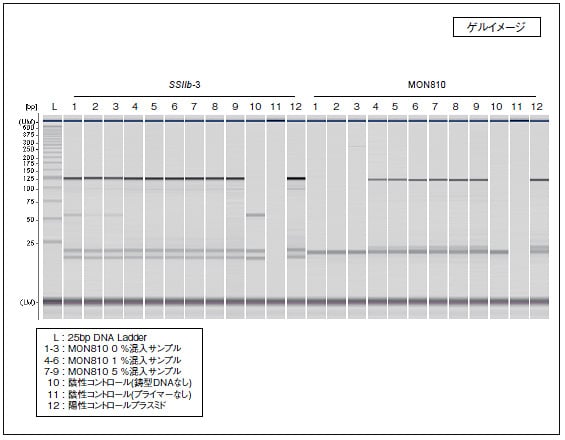 図1　MultiNA による遺伝子組換えとうもろこし(MON810) の分析