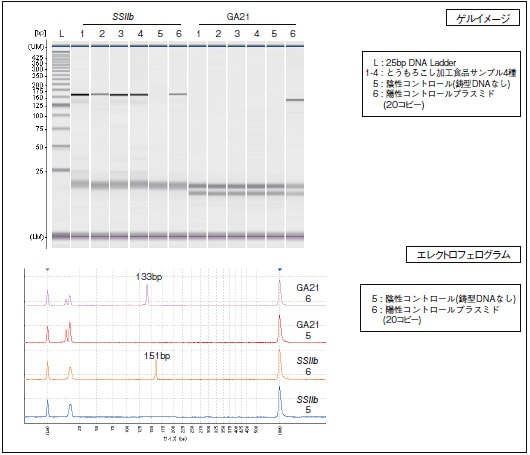 図1　MultiNA によるとうもろこし加工食品中の組換え遺伝子(GA21) の分析