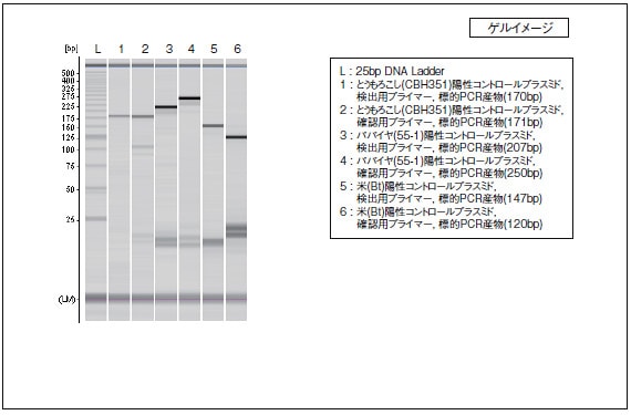 MultiNA による組換え遺伝子とうもろこし(CBH351), パパイヤ(55-1), 米(Bt) の分析