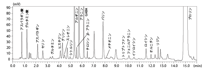 白ワインのクロマトグラム