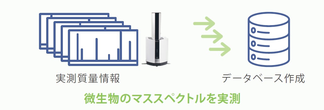 微生物同定