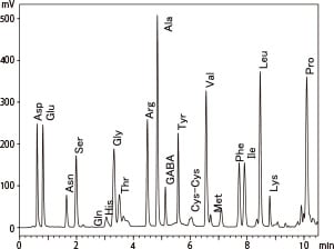 黒酢中のアミノ酸の分析結果