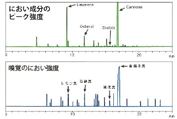 ミントの測定結果