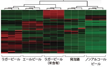 階層的クラスター解析結果