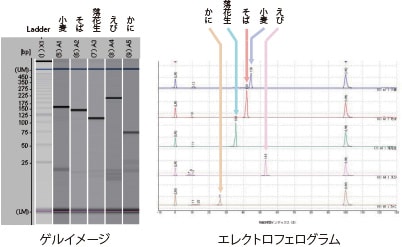 アレルゲン性食品由来のPCR産物の分析結果