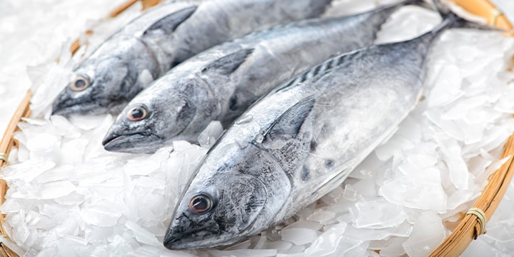 魚