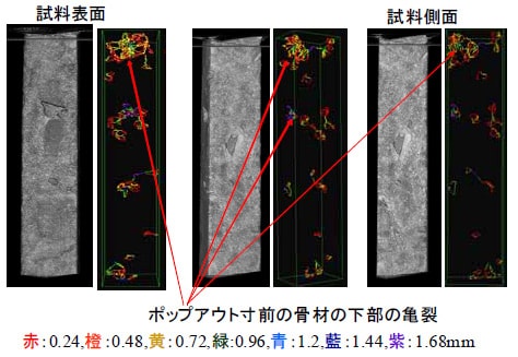 試料回転の様子