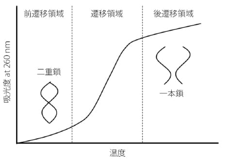 核酸の融解曲線