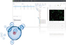 細胞観察サポートWebアプリケーション Cell Pocket