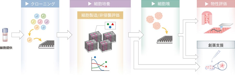 培養細胞を利活用するプロセス例