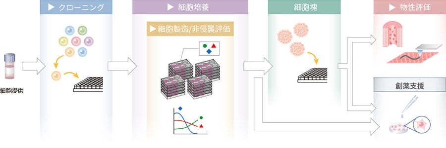 培養細胞を利活用するプロセス例