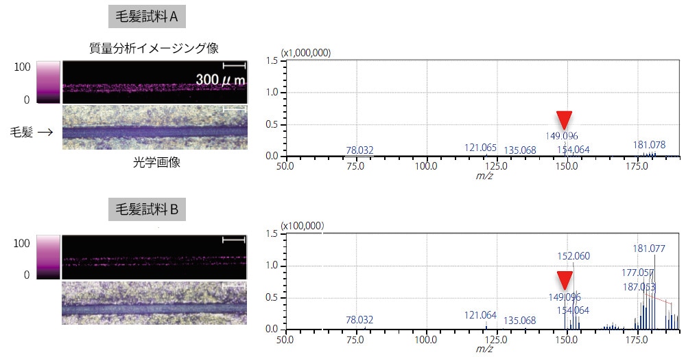 レーザー径10 μm での毛髪試料Aおよび試料Bの薬剤イメージング