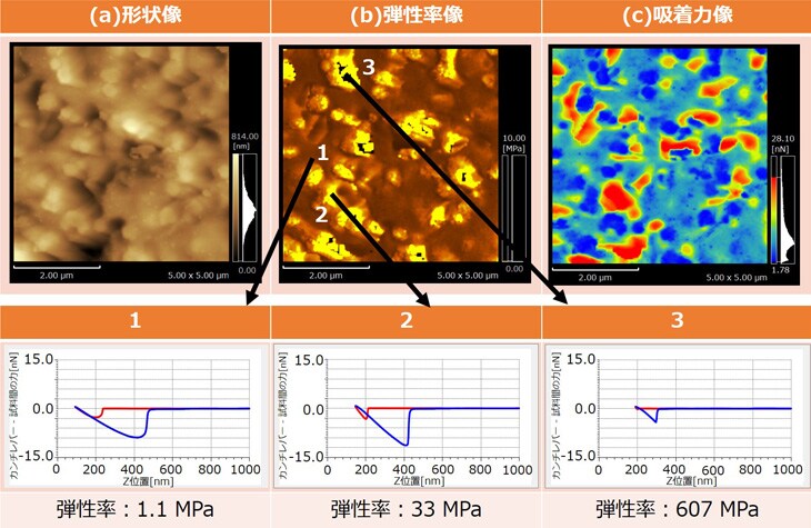 図 4　弾性率・吸着力のマッピング