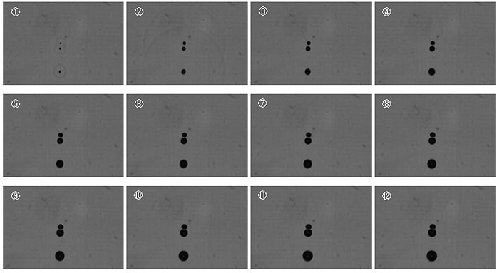 Fig.3　キャビテーション(気泡の膨張)の様子　 (画像間の時間間隔は2.5 μs)