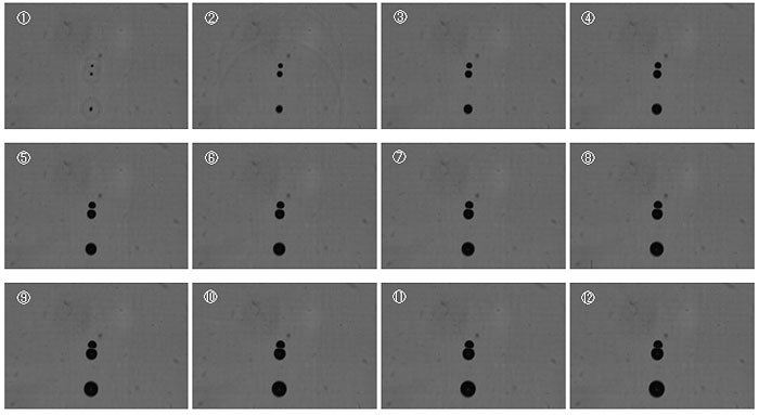 Fig.3　キャビテーション(気泡の膨張)の様子　 (画像間の時間間隔は2.5 μs)