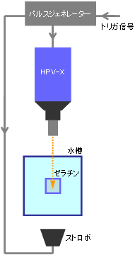 Fig.1 撮影の模式図