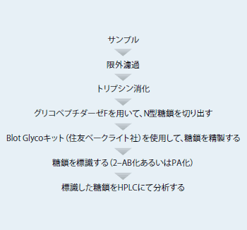 サンプル調製の手順