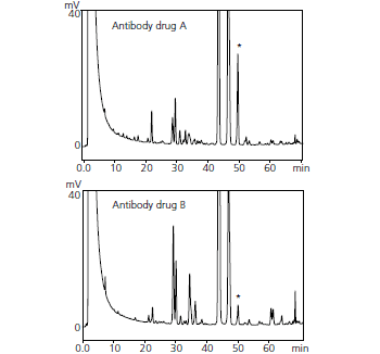 抗体医薬品中のピリジルエチル化（PA化）糖鎖のクロマトグラム