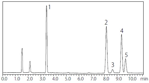 操作法A によるクラス1 標準溶液クロマトグラム（水溶性試料）