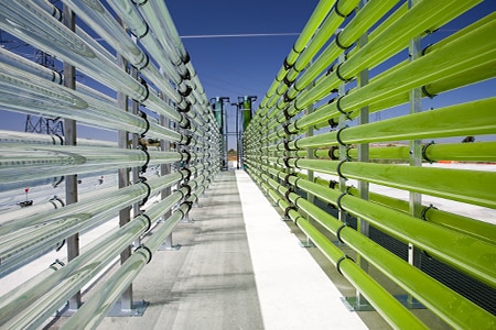 藻類バイオマス